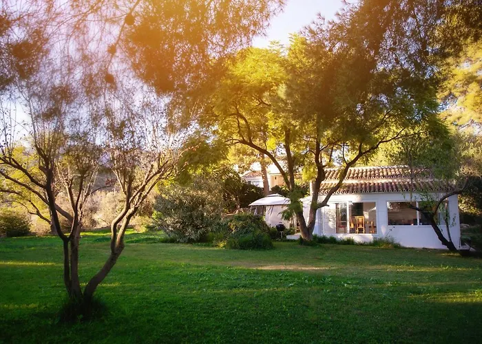 Finca Palmers Dos